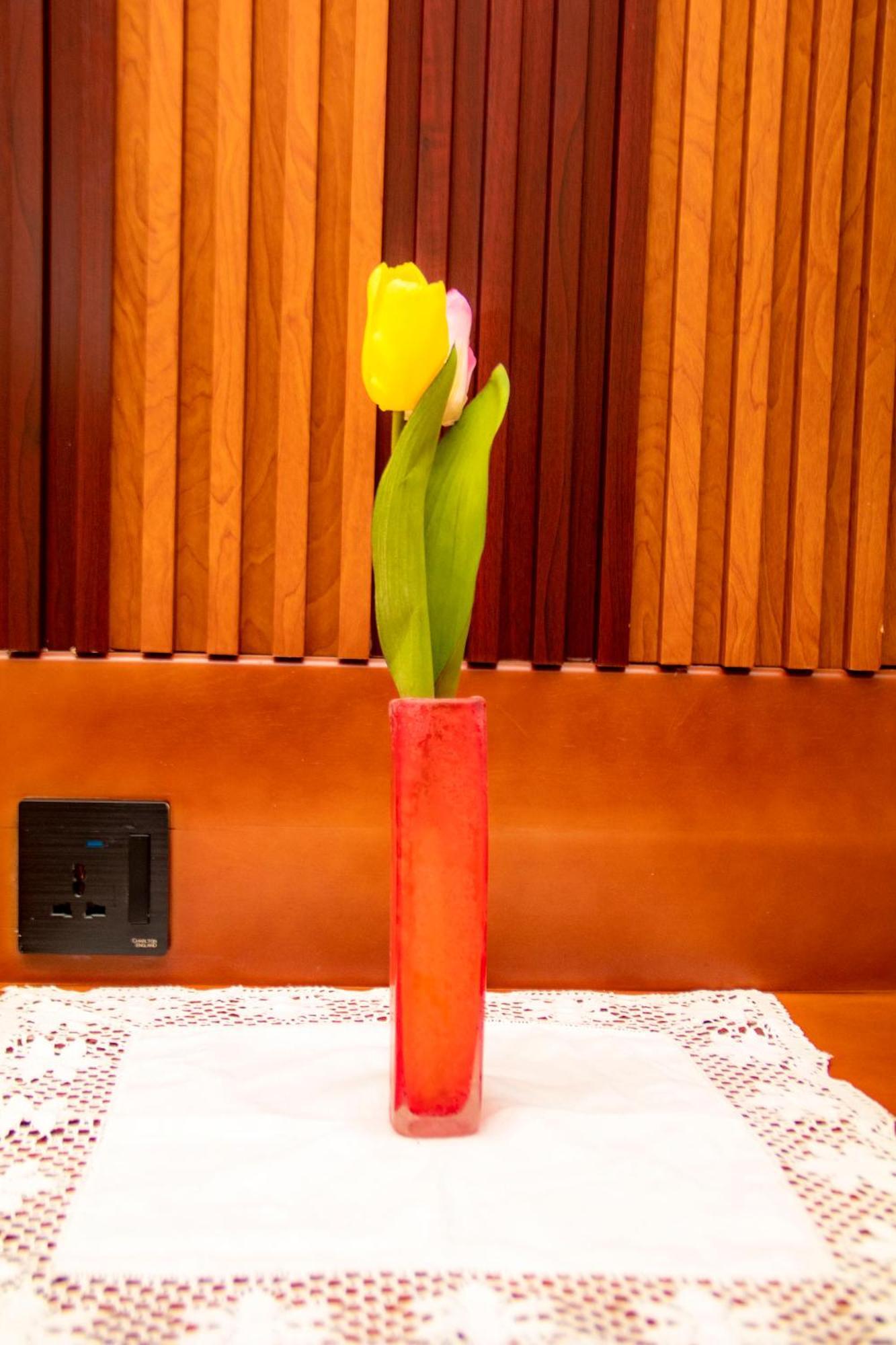קוטונו Hotel L'Apero מראה חיצוני תמונה